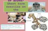 The effects of acute/ Short term exercise on the respiratory system Respiratory response: increase in breathing rate (neural and chemical control); increased.