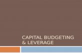 CAPITAL BUDGETING & LEVERAGE. Introduction Discuss three approaches to valuing a risky asset for which both debt and equity financing are used. Initial.