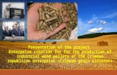 Development of the production of alternative, environmentally- friendly mode of consumption (granular solid fuel) from renewable sources, exactly from.