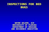 INSPECTIONS FOR BED BUGS WAYNE WALKER, ACE UNIVERSITY OF FLORIDA DEPARTMENT OF HOUSING AND RESIDENCE EDUCATION.