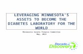 LEVERAGING MINNESOTAS ASSETS TO BECOME THE DIABETES LABORATORY FOR THE WORLD Minnesota Senate Finance Committee May, 2013.