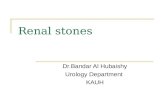 Renal stones Dr.Bandar Al Hubaishy Urology Department KAUH.