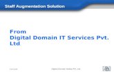 From Digital Domain IT Services Pvt. Ltd. Staff Augmentation Solution 6/12/20141 Digital Domain (India) Pvt. Ltd.