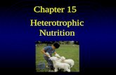 Chapter 15 Heterotrophic Nutrition Introduction Heterotrophic nutrition consumes complex organic food material which originates from autotrophic organisms.