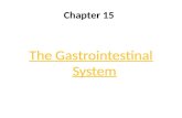 Chapter 15 The Gastrointestinal System. Gastrointestinal System (GI) Takes in (ingests) raw materials Breaks them down (digests) both physically and chemically.