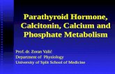 Parathyroid Hormone, Calcitonin, Calcium and Phosphate Metabolism Prof. dr. Zoran Valić Department of Physiology University of Split School of Medicine.