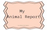 My Animal Report by Ashlynn Rae Runnels. Bobcats.