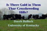 Is There Gold in Them Thar Crossbreeding Hills? Darrh Bullock University of Kentucky.