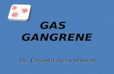 GAS GANGRENE Dr. Ehsanur Reza Shovan. It is a rapidly progressive, potentially fatal condition characterized by widespread necrosis of the muscles and.