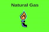 Natural Gas. Fossil fuels are made from plants and animals. Natural Gas is a Fossil Fuel. The energy in natural gas came from energy stored in plants.