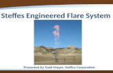 Steffes Engineered Flare System Presented by Todd Mayer, Steffes Corporation.