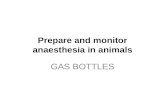 GAS BOTTLES Prepare and monitor anaesthesia in animals GAS BOTTLES.