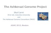 The Ashkenazi Genome Project Shai Carmi Peer lab, Columbia University and The Ashkenazi Genome Consortium (TAGC) ASHG 2013, Boston.