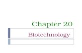 Chapter 20 Biotechnology. Overview: The DNA Toolbox Sequencing of the human genome was completed by 2007 DNA sequencing has depended on advances in technology,