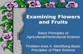 Examining Flowers and Fruits Basic Principles of Agricultural/Horticultural Science Problem Area 4. Identifying Basic Principles of Plant Science