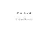 Plant List 4 (8 plants this week). Golden Poppy (Eschscholtzia mexicana) Poppy family = Four petals, a lot of pollen- making stamen & many ovaries Yellow-orange.