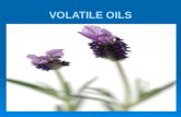 VOLATILE OILS. All official volatile oils are of vegetable origin. Normally pre-exist in the plant – stored in a special secretory tissue (e.g. Citrus.