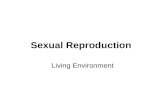 Sexual Reproduction Living Environment. Involves 2 two sexes, Male and Female. Gametes = sex cells – produced in gonads. Female = ovaries (gonads) produce.