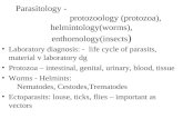 Parasitology - protozoology (protozoa), helmintology(worms), enthomology(insects ) Laboratory diagnosis: - life cycle of parasits, material v laboratory.