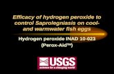 Efficacy of hydrogen peroxide to control Saprolegniasis on cool- and warmwater fish eggs Hydrogen peroxide INAD 10-023 (Perox-Aid TM )