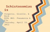 Schistosomiasis Virginia, Giselle, & Nick BIOL 065: Pneumonia & Flu Thursday, April 19, 2012.