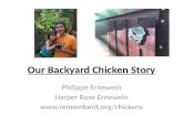 Our Backyard Chicken Story Philippe Ernewein Harper Rose Ernewein .
