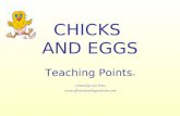 CHICKS AND EGGS Teaching Points © Created by Lisa Frase .