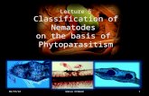 Lecture 5 Classification of Nematodes on the basis of Phytoparasitism 6/14/2014Walia CCSHAU1.