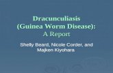 Dracunculiasis (Guinea Worm Disease): A Report Shelly Beard, Nicole Corder, and Majken Kiyohara.