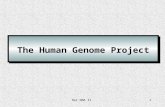 Rec DNA II.1 The Human Genome Project Rec DNA II.2 2003 Completion of the Human Genome Programe Start of the „post-genomic era” 2001 First draft of the.