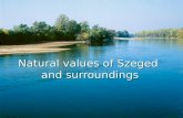 Natural values of Szeged and surroundings. Szeged Third biggest town in Hungary Third biggest town in Hungary 170 000 inhabitants 170 000 inhabitants.