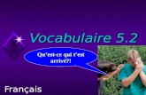 Vocabulaire 5.2 Français II Qu’est-ce qui t’est arrivé?!