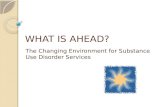 WHAT IS AHEAD? The Changing Environment for Substance Use Disorder Services.