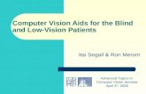 Computer Vision Aids for the Blind and Low-Vision Patients Itai Segall & Ron Merom Advanced Topics in Computer Vision Seminar April 3 rd, 2005.