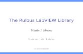 The Rulbus LabVIEW Library Martin J. Moene U n i v e r s i t e i t L e i d e n Last update: 1 December 2004.