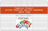 The local sport FUTSAL Comenius Project ACTIVE SPORTIVE HEALTHY EUROPEAN YOUTH TEAM.