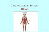 19-1 Cardiovascular SystemBlood. 19-2 Functions of Blood Transport of: –Gases, nutrients, waste products –Processed molecules –Regulatory molecules Regulation.