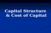 Capital Structure & Cost of Capital. Introduction Capital budgeting affects the firm’s well-being Discount rate is based on the risk of the cash flows.