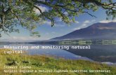 Measuring and monitoring natural capital Stewart Clarke Natural England & Natural Capital Committee Secretariat.