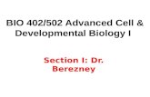 BIO 402/502 Advanced Cell & Developmental Biology I Section I: Dr. Berezney.