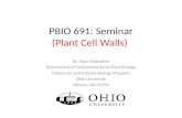PBIO 691: Seminar (Plant Cell Walls) Dr. Allan Showalter Department of Environmental & Plant Biology Molecular and Cellular Biology Program Ohio University.