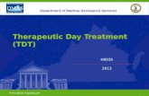 1  H0035 2013  1 Department of Medical Assistance Services Therapeutic Day Treatment (TDT)