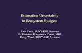 Estimating Uncertainty in Ecosystem Budgets Ruth Yanai, SUNY-ESF, Syracuse Ed Rastetter, Ecosystems Center, MBL Dusty Wood, SUNY-ESF, Syracuse.