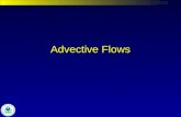 Advective Flows. Watershed & Water Quality Modeling Technical Support Center Surface Water Flow Options 1.Specified river, tributary flows (net flow)