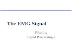 The EMG Signal Filtering Signal Processing.2. Filters - Overview u Primary function is noise attenuation u If the frequency of the noise source is sufficiently.