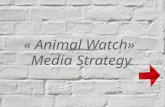 « Animal Watch» Media Strategy. Challenge s Awareness Pet-Shops Shelters Education of masses.