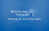 MultiLoop III - Tutorial 1 Running an existing model.