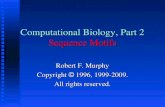 Computational Biology, Part 2 Sequence Motifs Robert F. Murphy Copyright  1996, 1999-2009. All rights reserved.