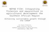 Achieving sustainable growth through the CAADP Dr Sloans Chimatiro NEPAD Fisheries Adviser FANRPAN Stakeholders Planning Workshop, Johannesburg 2-4May.