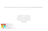 STRUCTURAL AND BIOLOGICAL STUDIES OF SOME CALIX[4]RESORCINARENE BOHARI M YAMIN HAMZAM ABODISAYA AISHAH HASBULLAH JUMINA.